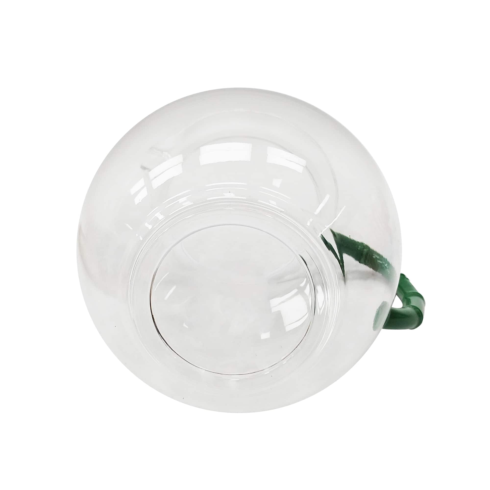 Hothouse Plastic Pitcher by Celebrate It™